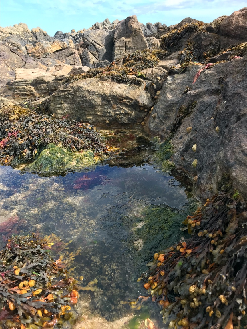 2008-2011, Entec, Robin Rigg, Intertidal cable route survey